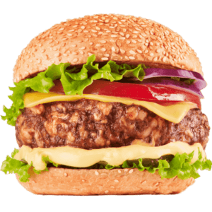 Turkey Burger